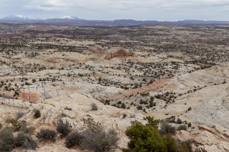 Dit rots landschap lijkt op een versteend duin